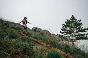 BIB: 
                            <button type="button" onclick="openModal(25997092)" class="btn btn-primary btn-sm float-right btn-popup" data-toggle="modal" data-target=".modal-high-quality">
                        <i class="fas fa-shopping-cart"></i> Add to Cart
                    </button>
                                            <button type="button" onclick="isThisMe(25997092, true)" class="btn btn-success btn-sm float-right btn-popup btn-isme hidden" data-toggle="tooltip" data-placement="bottom" title="นี่คือรูปของคุณใช่ไหม คลิกที่นี่เพื่อเอาเข้าอัลบั้ม">
                        <i class="fas fa-plus"></i> Add to album
                    </button>
                    <button type="button" onclick="isThisMe(25997092, false)" class="btn btn-warning btn-sm float-right btn-popup btn-isnotme hidden">
                        <i class="fas fa-ban"></i> Remove from album
                    </button>